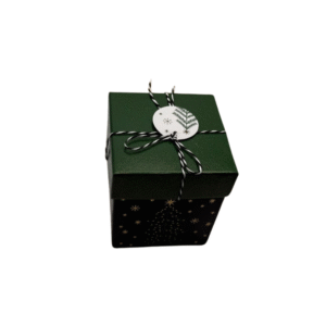 La Boîte-cadeau carrée - Noël -Verte est une boîte-cadeau carrée vert foncé avec un couvercle assorti, attachée avec de la ficelle noire et blanche et une étiquette blanche avec une feuille verte. Des étoiles et un sapin dorés ajoutent un style festif sur les côtés.