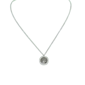 Collier et son pendentif arbre de vie et strass /Argenté, présenté sur fond blanc. Ce pendentif élégant ajoute une touche de signification à votre look.